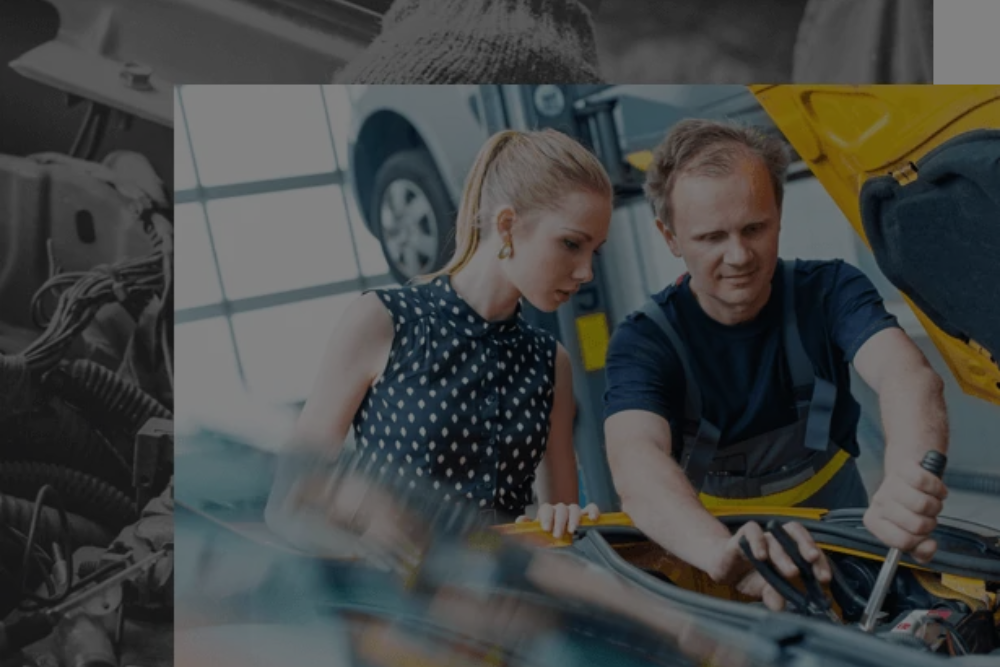 Ingyenes biztonsági átvizsgálás és ellenőrzés